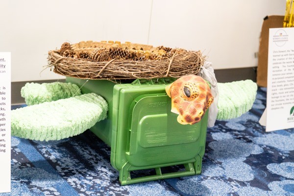 Sea Turtle Cart on Display